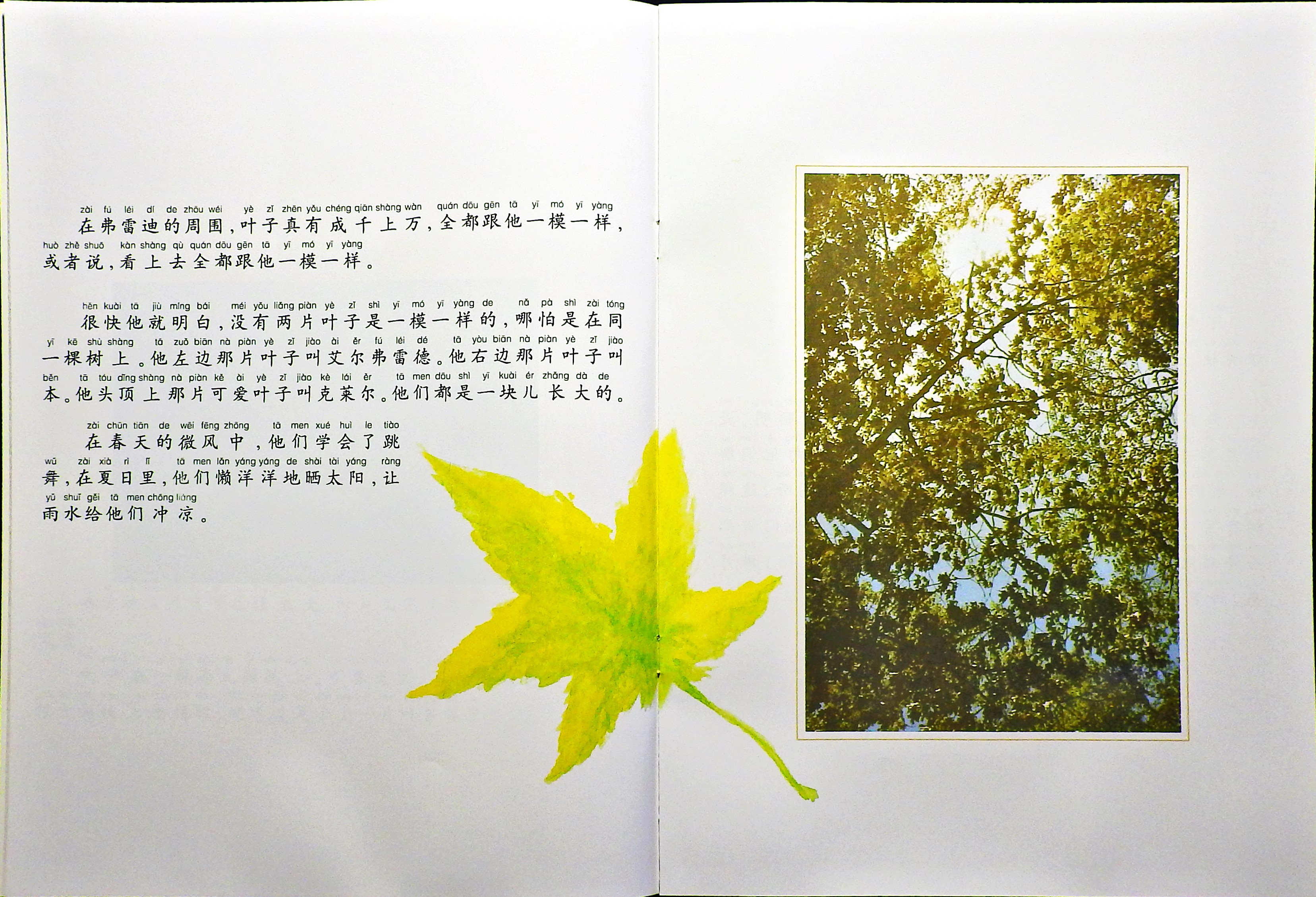 一片叶子落下来 (06),绘本,绘本故事,绘本阅读,故事书,童书,图画书,课外阅读